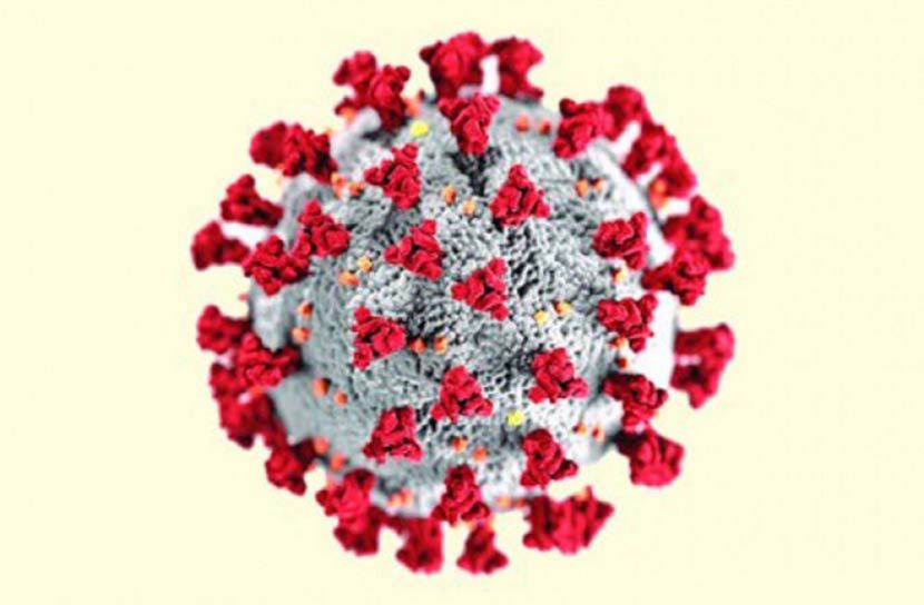 ব্রাহ্মণবাড়িয়ায় ২৭ জনের করোনা শনাক্ত 