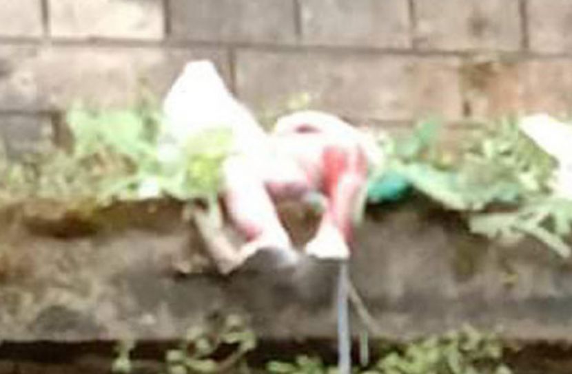 হাসপাতালের জানালার কার্নিশে মিললো নবজাতকের লাশ