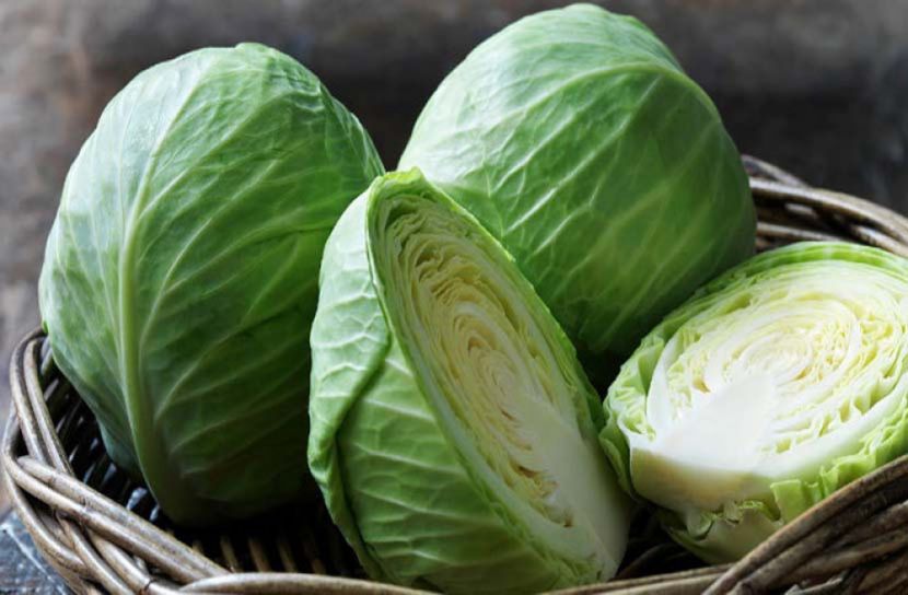 দ্রুত ওজন কমাতে বাঁধাকপি