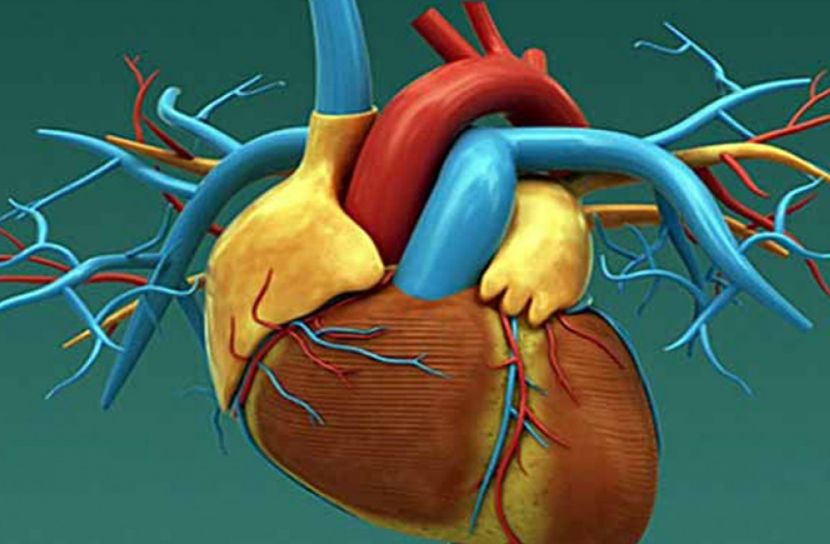 যে ১০ রোগে বেশি মানুষ মারা যায়!