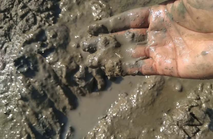 কাদায় আটকে প্রাণ হারালেন বাচ্চু মিয়া