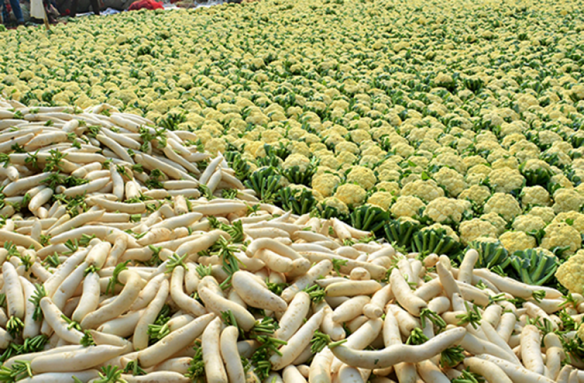 শীতের সবজিতে সেজেছে হাট বাজার