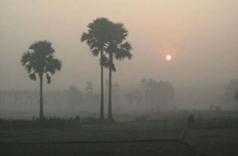 ঘন কুয়াশা সারাদেশে