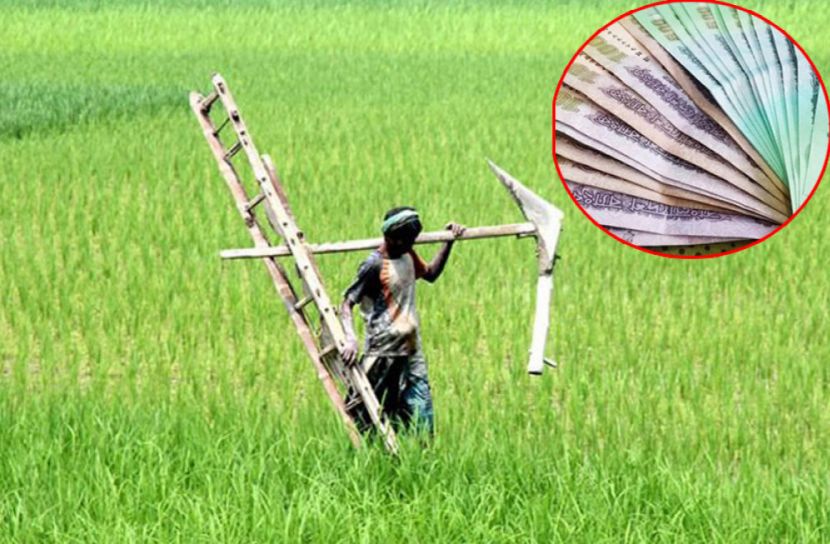 প্রণোদনা পাচ্ছেন খুলনার ৯৬ হাজার কৃষক