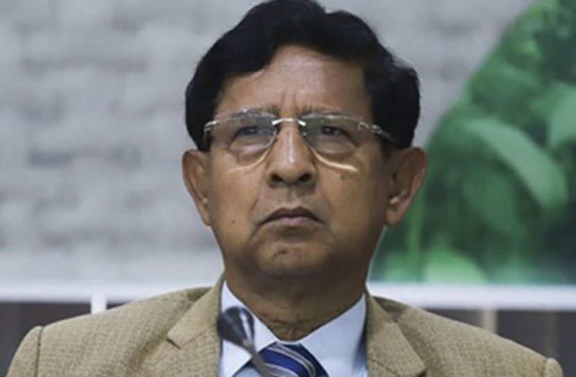 পাটের পুরনো গৌরব ফিরে পাবো : বস্ত্র ও পাটমন্ত্রী