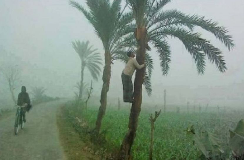 বাড়ছে শীত, সর্বনিম্ন তাপমাত্রা তেঁতুলিয়ায়