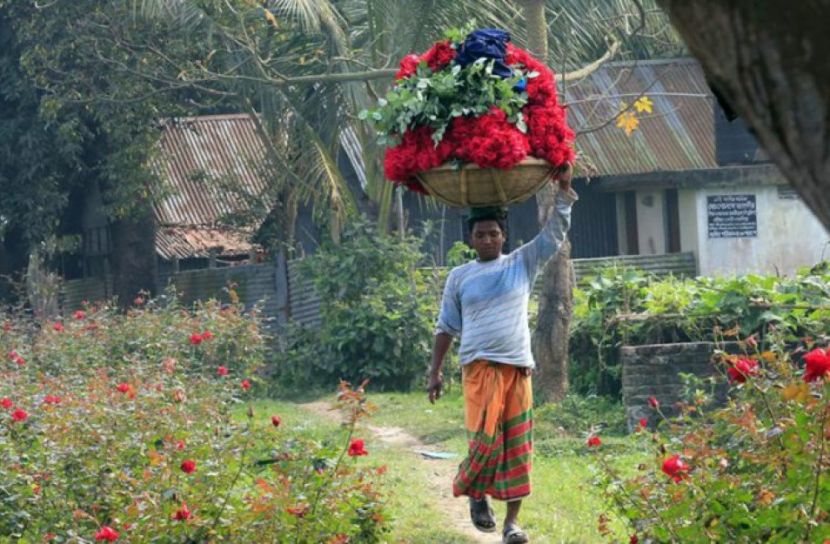 বিজয় দিবসকে ঘিরে ঘুরে দাঁড়িয়েছে ফুলের ব্যবসা