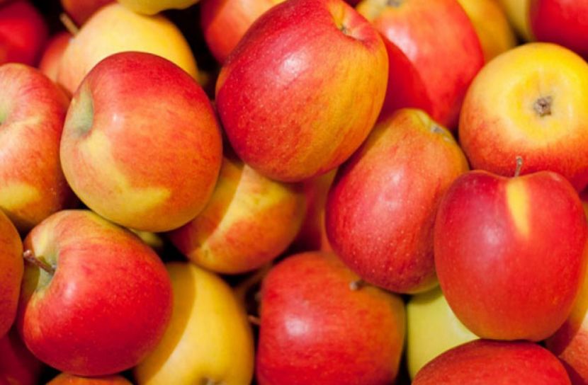 আপেল আমদানিতে বাংলাদেশ তৃতীয়