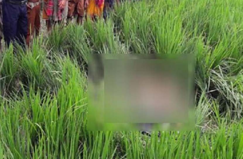 ধানক্ষেত থেকে নবজাতকের মরদেহ উদ্ধার