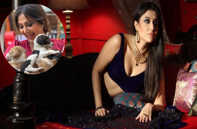 ‘চরিত্রহীন স্বস্তিকা! কুকুরকে বেশি বিশ্বাস 