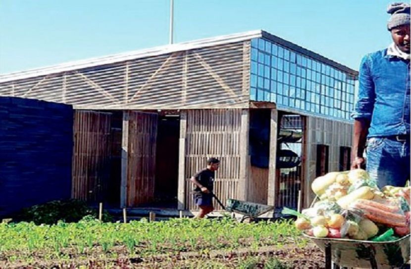 আবর্জনার স্তূপ এখন টাকা বানানোর কারখানা