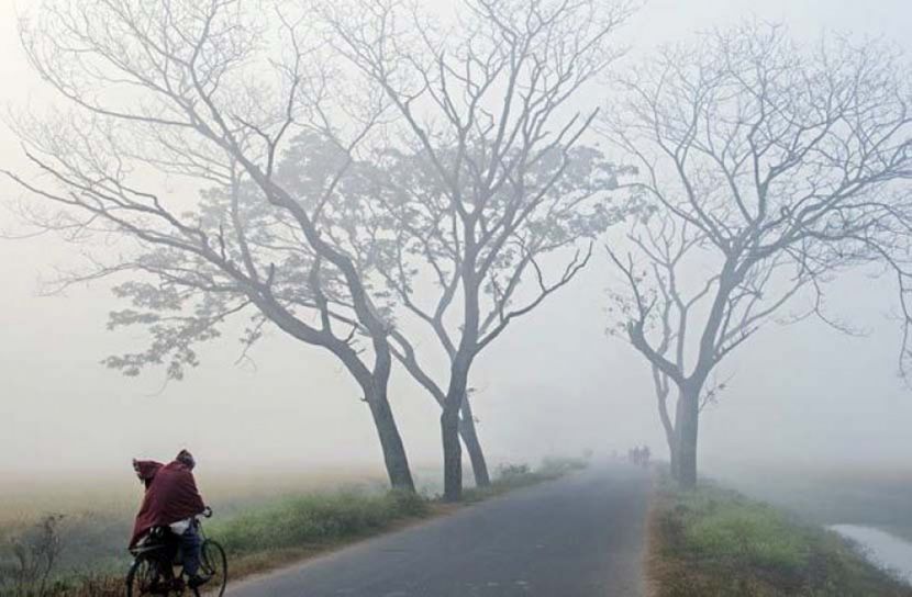 চুয়াডাঙ্গায় শৈত্যপ্রবাহ, তাপমাত্রা ৭.৫