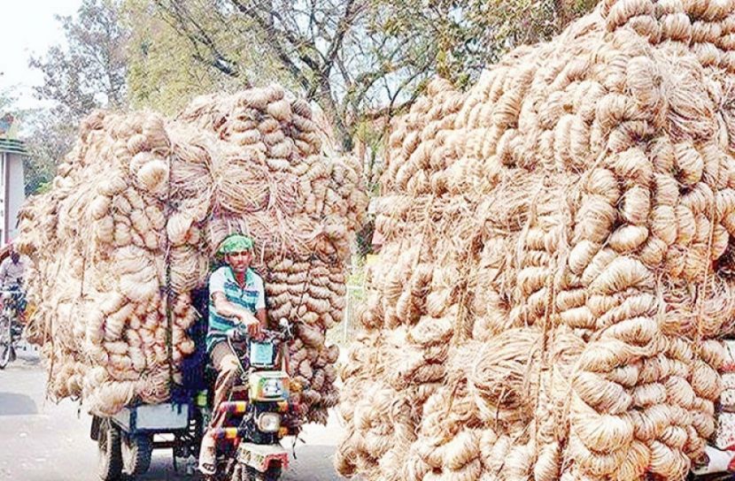পাট খাতে বিনিয়োগকারীরা রিটার্ন পাবে ১১ শতাংশের বেশি