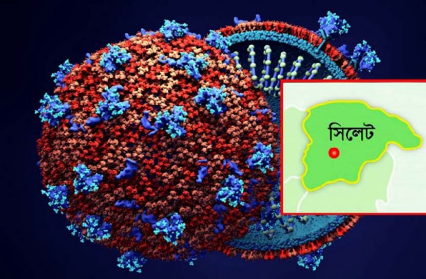 সিলেটে ২৪ ঘণ্টায় ৫৬ করোনা রোগী শনাক্ত
