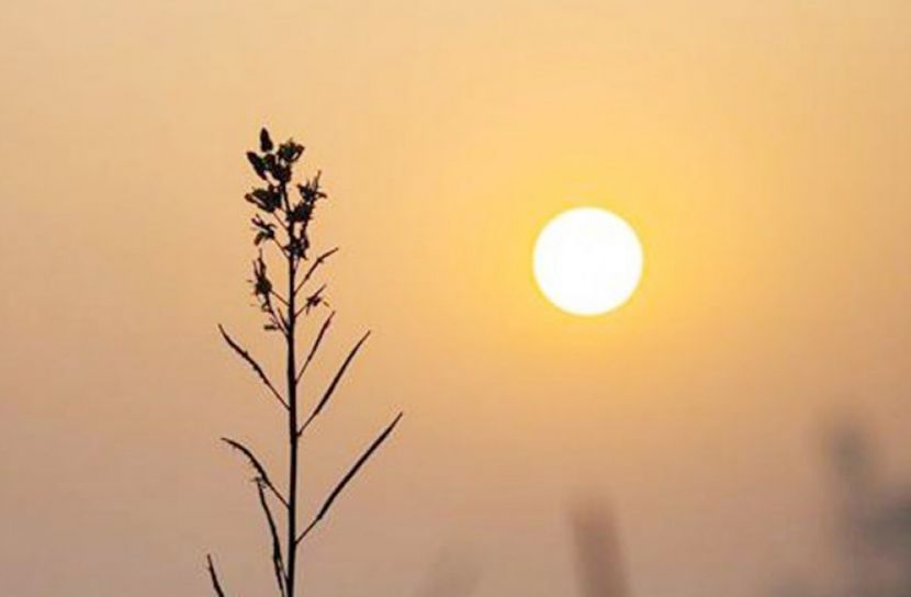 আজকের দিন সবচেয়ে ছোট