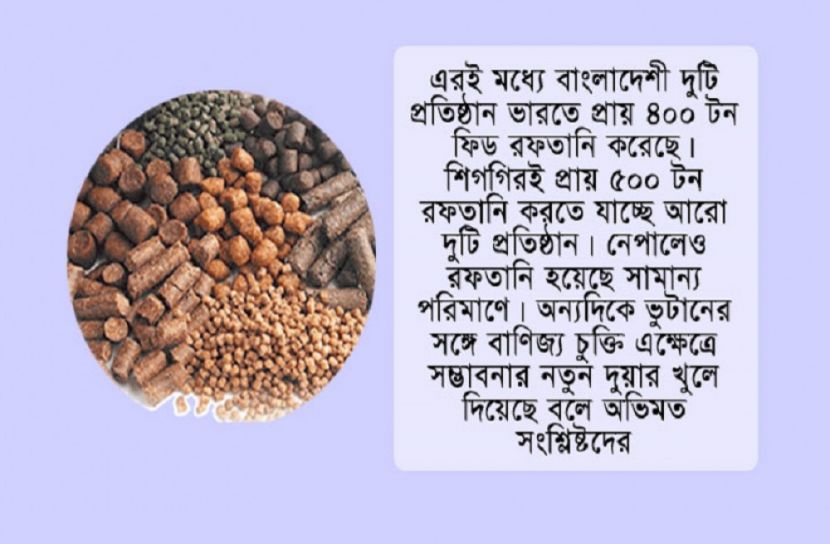 উত্তর-পূর্বাঞ্চলে হাজার কোটি টাকার ফিড বাজারে বাংলাদেশ