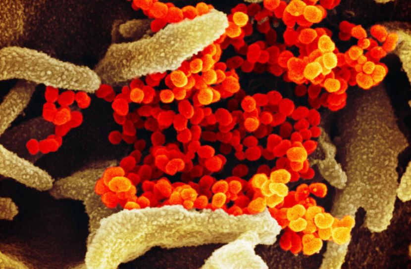 নতুন করোনার ৭টি লক্ষণ প্রকাশ