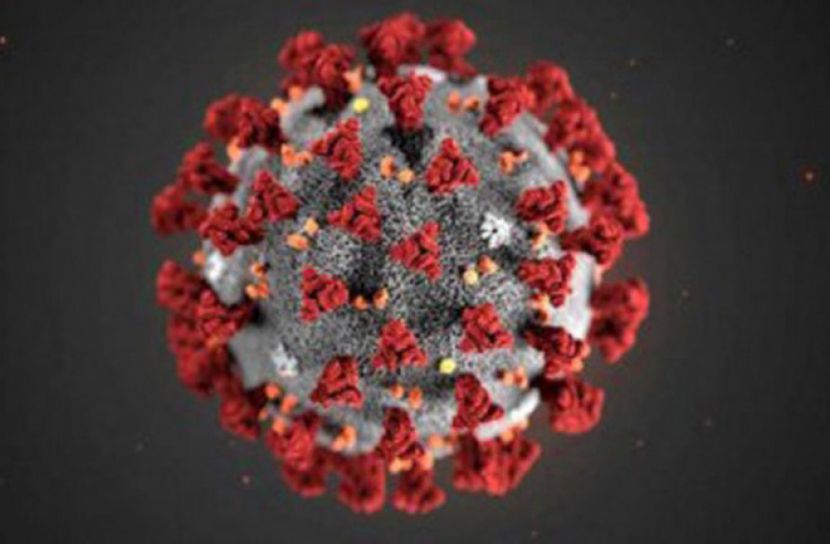 রাজশাহীতে ২৪ ঘণ্টায় ৩২ করোনা রোগী শনাক্ত