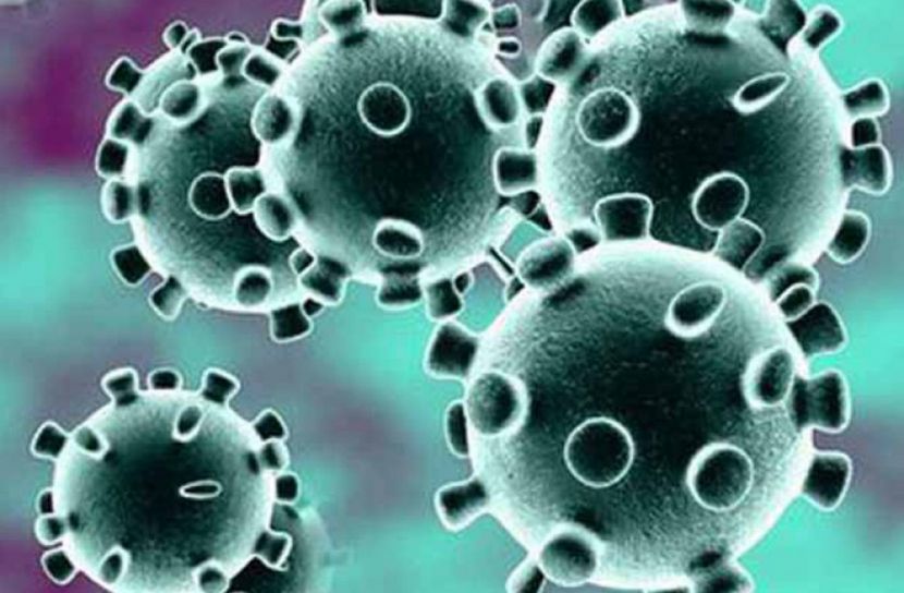 সিলেটে করোনায় আক্রান্ত ১২, সুস্থ ৪৩