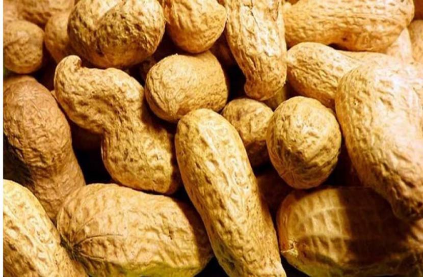 বাদামের পাঁচ গুণ