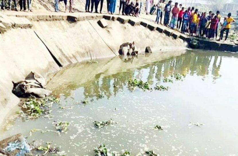 মতলবে সেচ প্রকল্পের বেড়িবাঁধে আবারও ধস