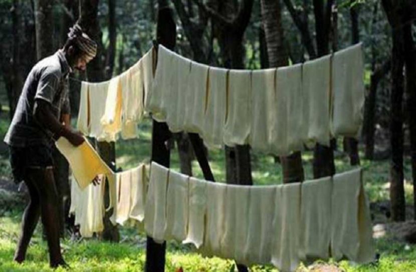 প্রাকৃতিক রাবার উৎপাদনের মন্দার বছর ২০২০