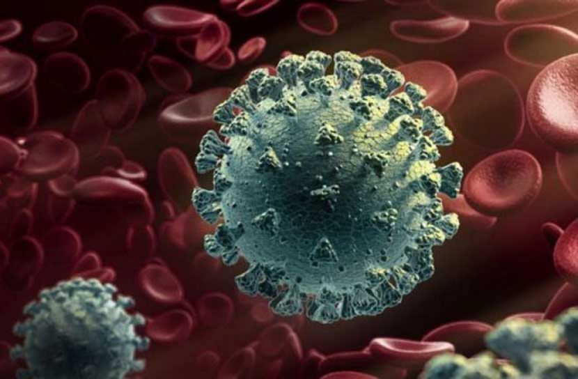 ভারতেও পাওয়া গেছে করোনার নতুন ধরণ