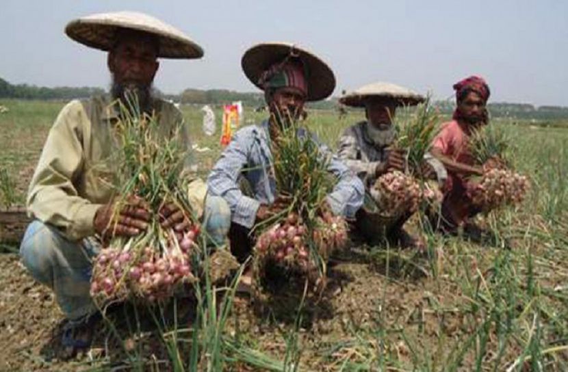 ভারতীয় পেঁয়াজ আমদানিতে লোকসানের শঙ্কায় কৃষকরা