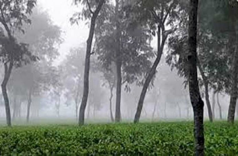 শ্রীমঙ্গলে সর্বনিম্ন তাপমাত্রা ৭.৪