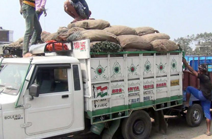 ৯ মাস পর সাজনা আমদানি 