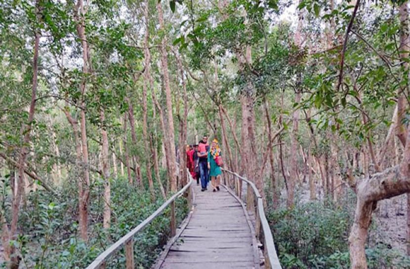 পর্যটকে মুখরিত সুন্দরবন