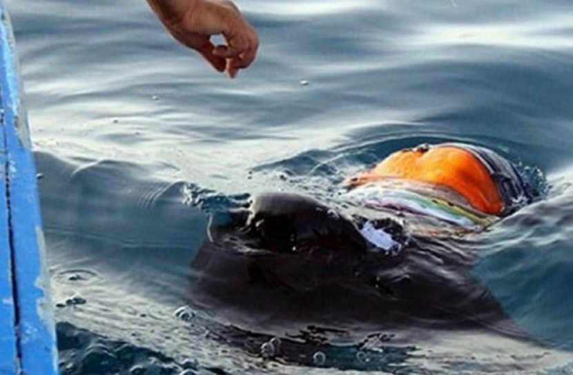 বাংলাদেশে পানিতে ডুবে কোথায় কত মৃত্যু