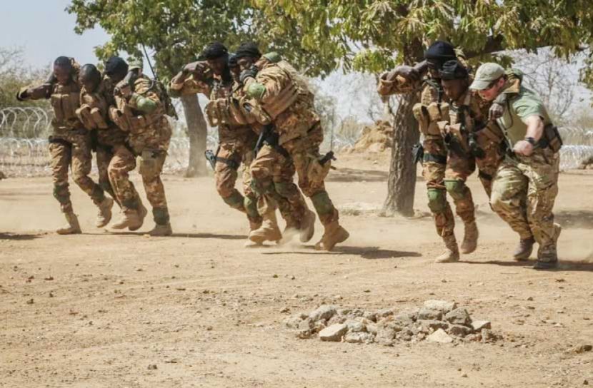 নাইজারে সন্ত্রাসী হামলায় নিহত ৭৯