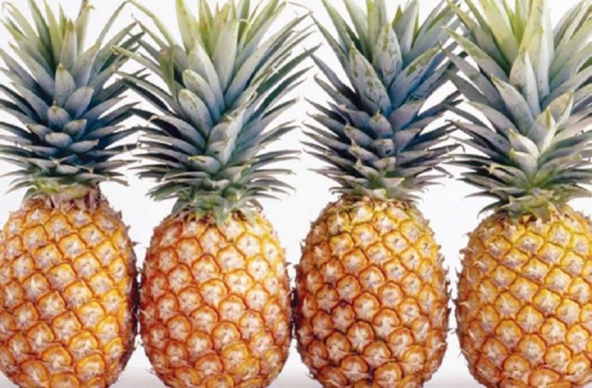 পৃথিবীতে প্রায় ৯৫ প্রজাতির আনারস