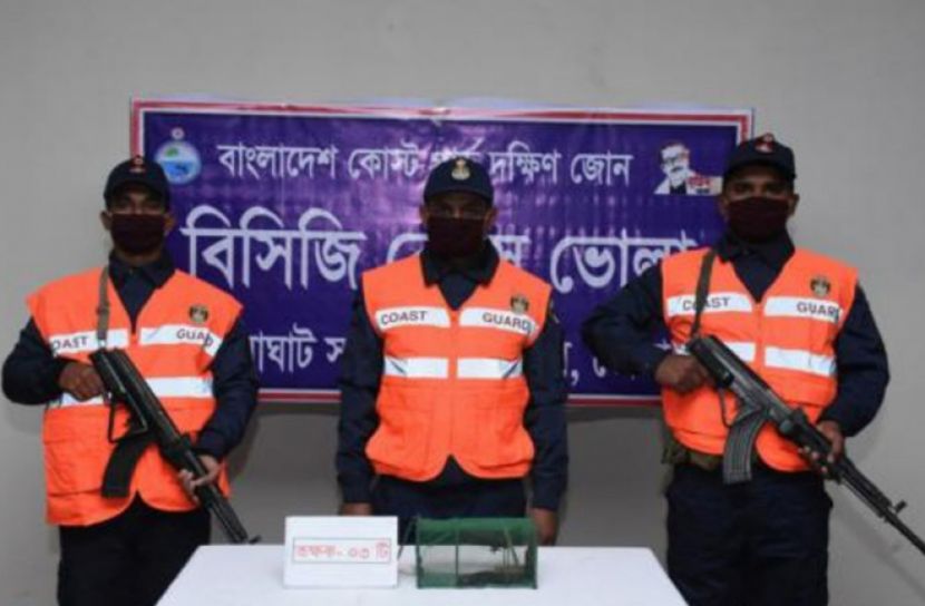 ভোলায় সাড়ে তিন কোটি টাকা মূল্যের তক্ষক উদ্ধার