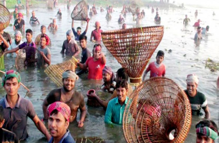 মানিকগঞ্জের বিলে জমজমাট পলো বাইচ