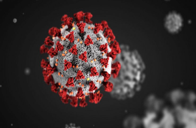 সিলেটে আরও ১৮ করোনা রোগী শনাক্ত 