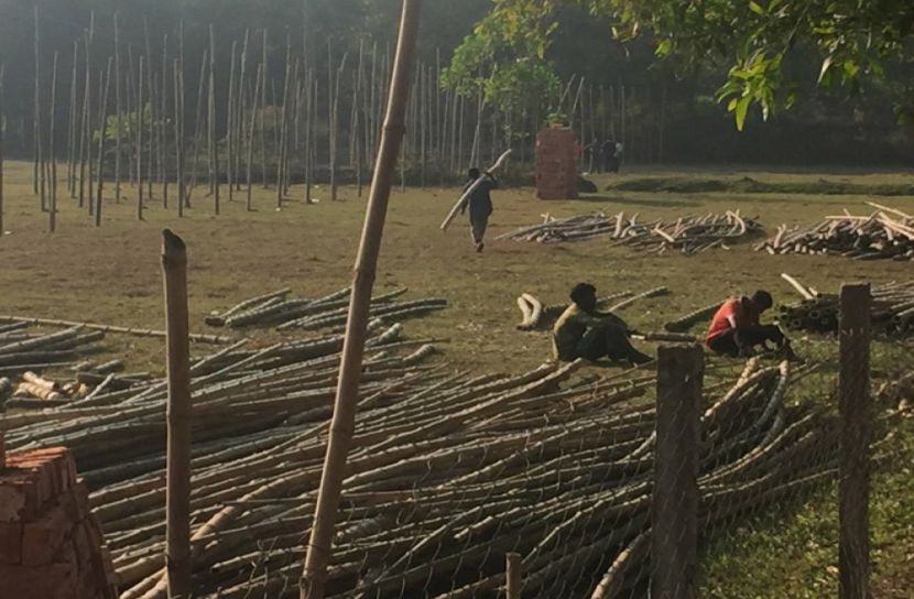গ্রামজুড়ে পোল্ট্রি খামার, অতিষ্ঠ এলাকাবাসী