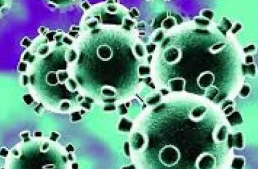 সিলেটে আরও ১৩ জনের করোনা শনাক্ত