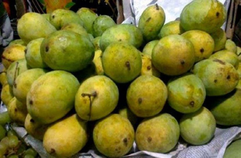 আম মিলছে বছরজুড়ে