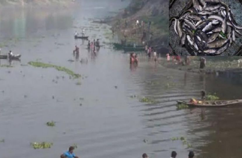 কারখানার বর্জ্য নদীতে, মরছে মাছ ধ্বংস হচ্ছে পরিবেশ