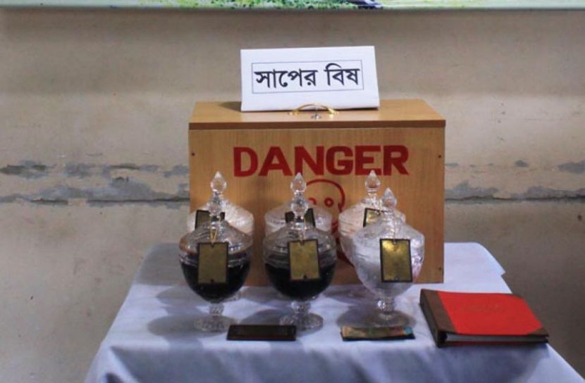 রাজধানীতে ৮৫ কোটি টাকার সাপের বিষসহ আটক ৫