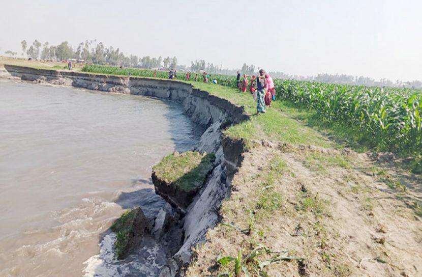 তিস্তা এখন বালুচর ও আবাদি জমি