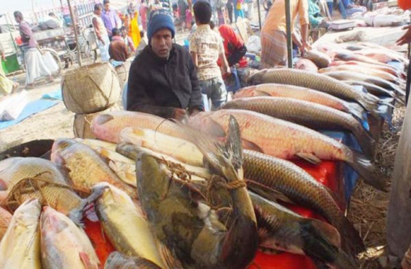 করোনা : মৌলভীবাজারে হচ্ছে না মাছের মেলা