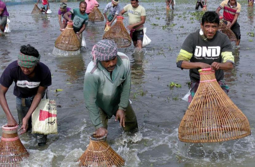 এ যেন মাছ ধরার উৎসব 