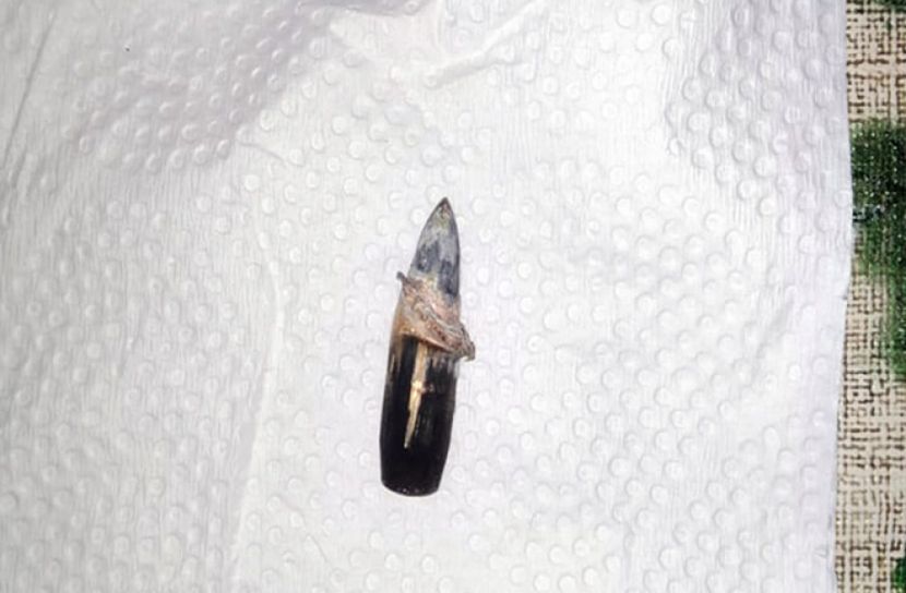 বাঘাইছড়িতে সন্ত্রাসীদের মধ্যে ত্রিমুখী গোলাগুলি