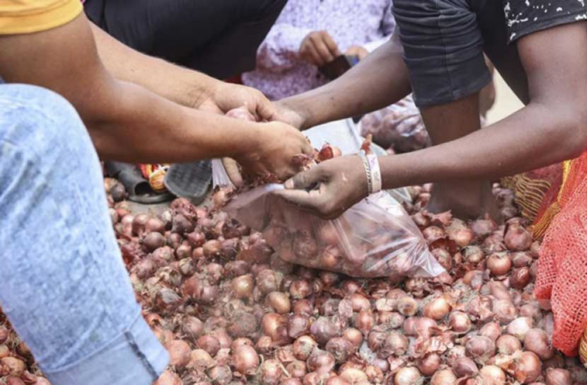ভারতীয় পেঁয়াজ আমদানিতে কৃষকদের লোকসান