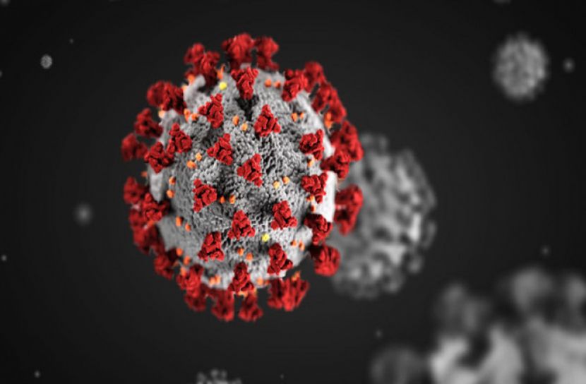 সিলেটে করোনায় ১ জনের মৃত্যু, শনাক্ত ৯