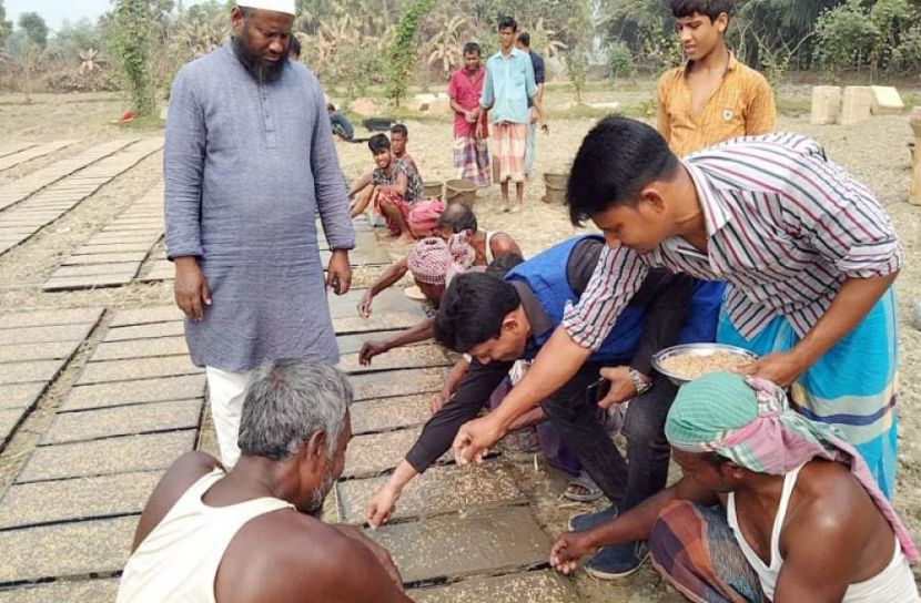 সমলয় চাষাবাদে ট্রে পদ্ধতিতে বীজতলার উদ্বোধন