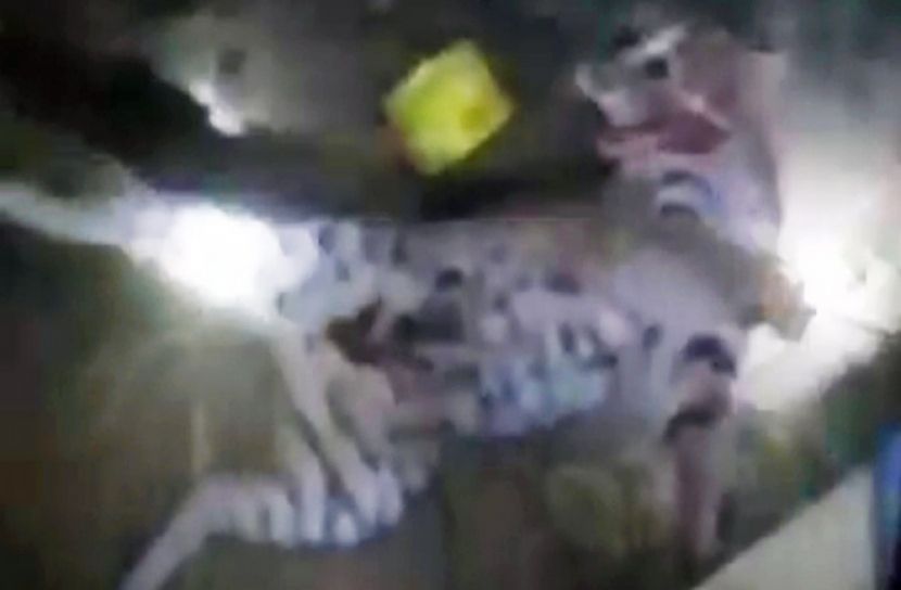 দু’জনকে আহত করে মারা গেল সেই মেছো বাঘ